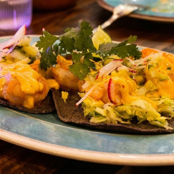 Two shrimp tacos with melted cheese, lettuce, and cilantro on blue corn tortillas.